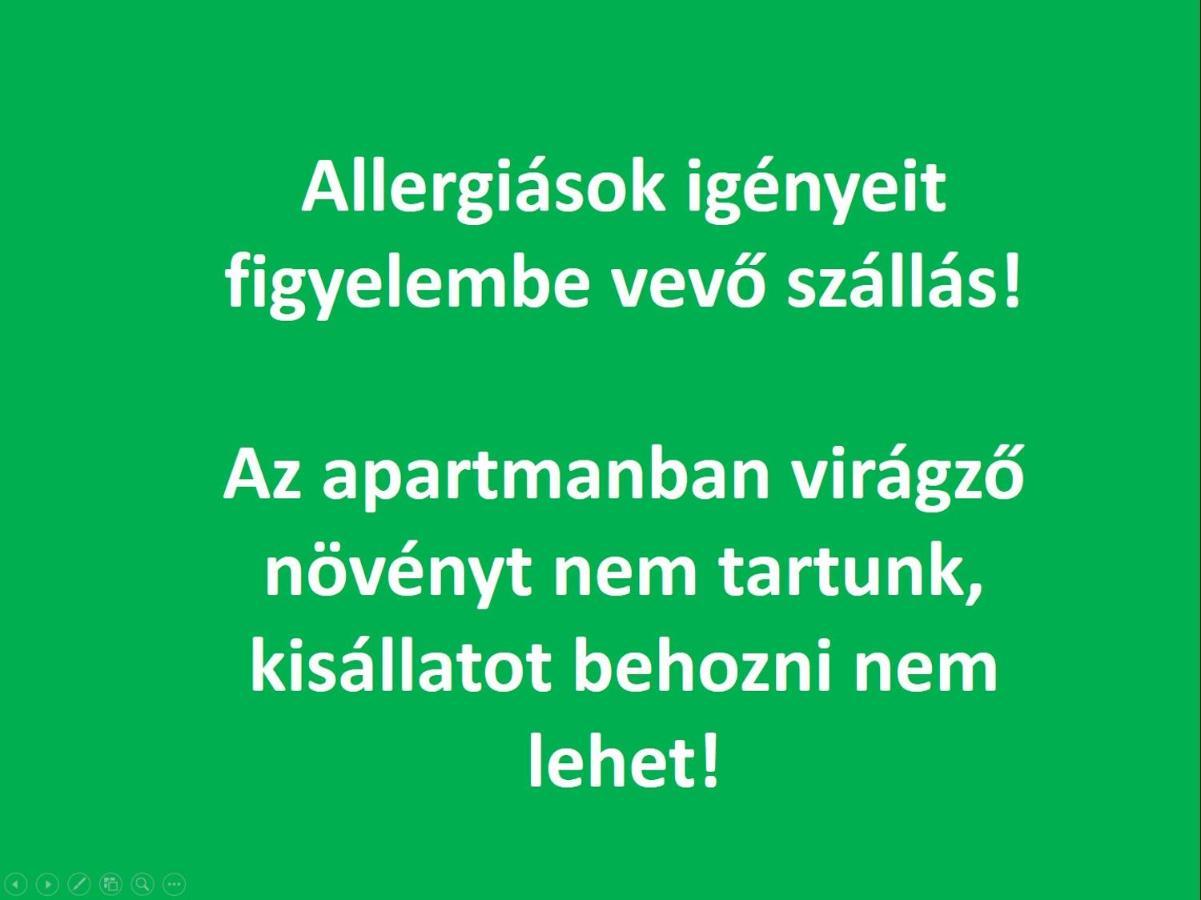 Smart Business Apartman Мішкольц Екстер'єр фото